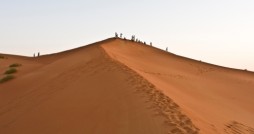 arab jahiliyah