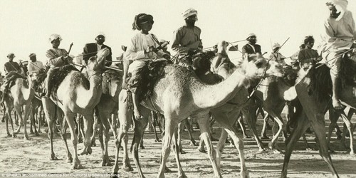 Caravan onta di Dubai. Berlangsung antara tahun 1960an - 1970an.