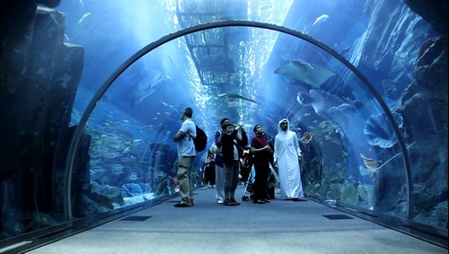 Aquarium di Dubai Mall